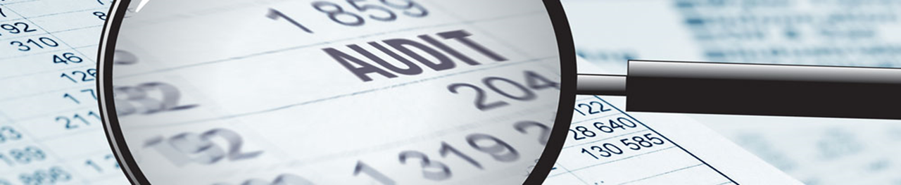 Audit banner